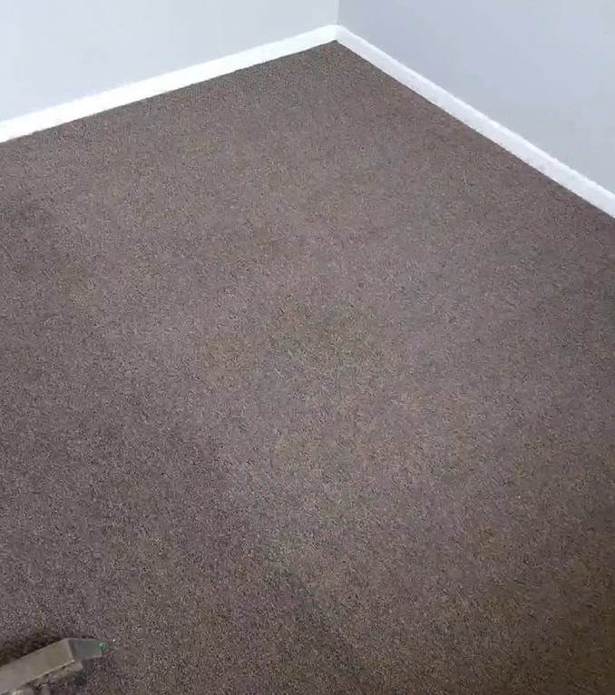 Carpet Stain After
