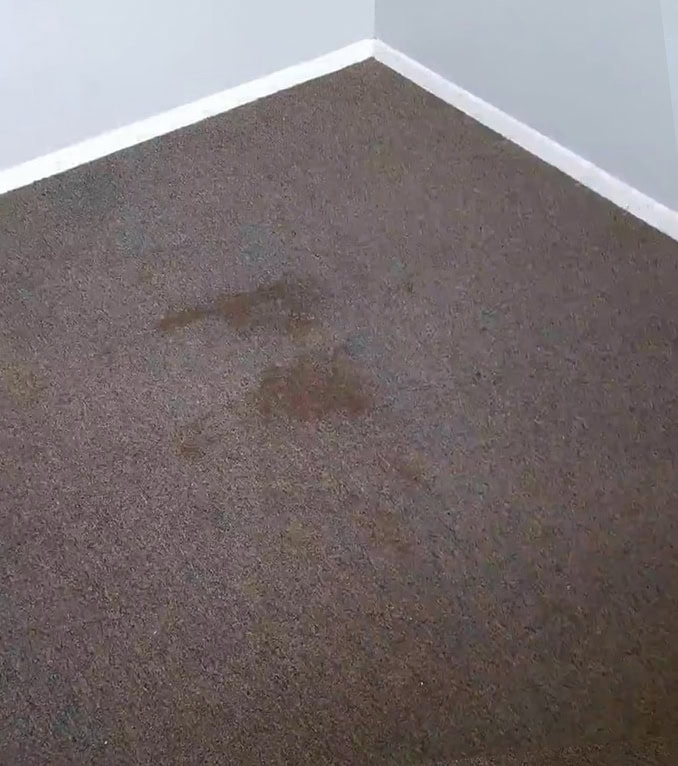 Carpet Stain Before